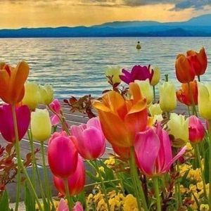 Meet your Posher, Merce